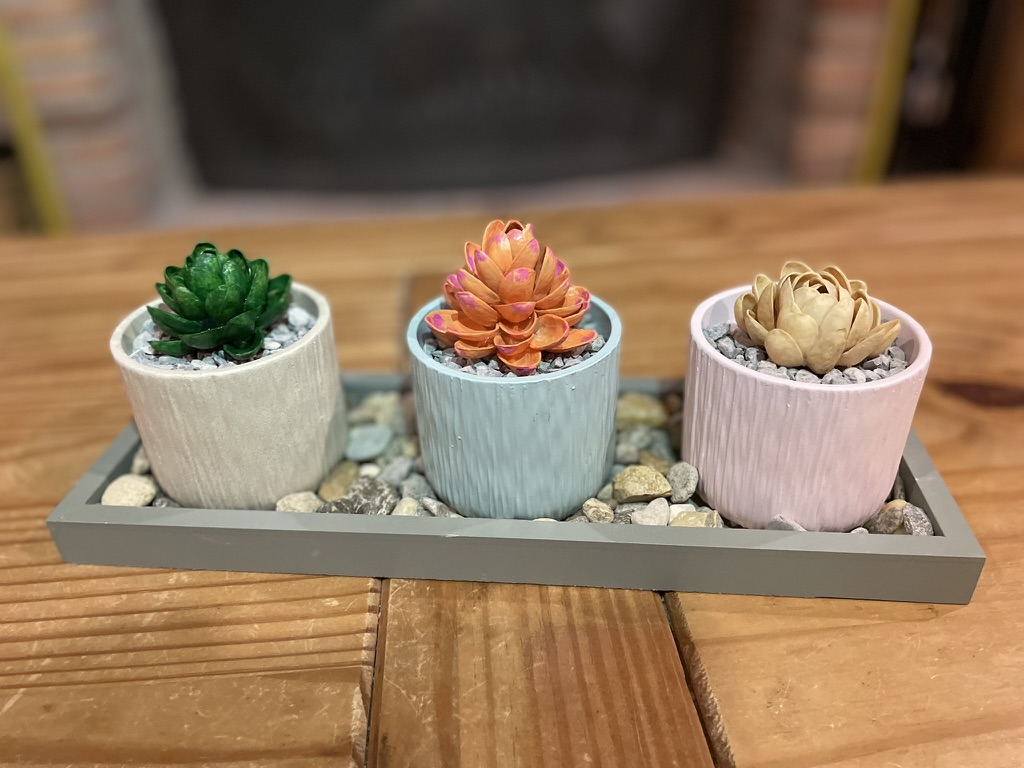 Handcrafted succulents in pastel pots